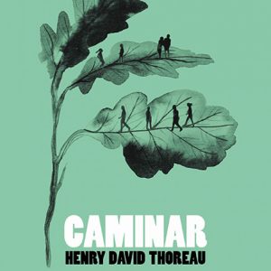 CAMINAR PENSAMIENTO ALM