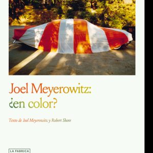 JOEL MEYEROWITZ:¿EN COLOR?