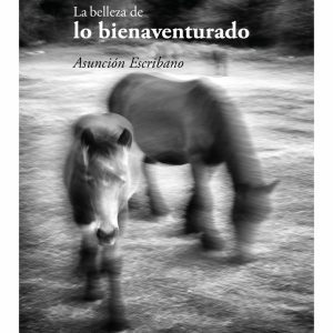 LA BELLEZA DE LO BIENAVENTURADO