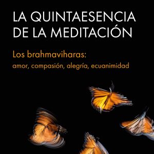 LA QUINTAESENCIA DE LA MEDITACIÓN