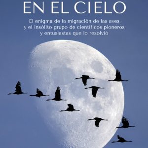 RUTAS EN EL CIELO