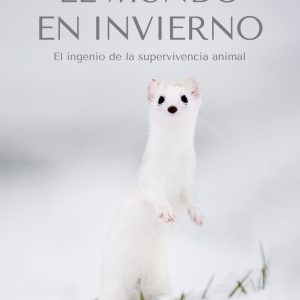 EL MUNDO EN INVIERNO
