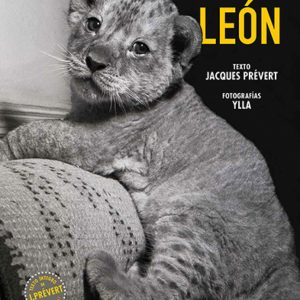 EL PEQUEÑO LEÓN