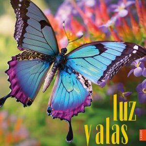 LUZ Y ALAS