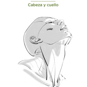 ANATOMÍA ARTÍSTICA 10
