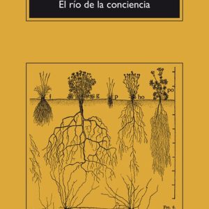 EL RÍO DE LA CONCIENCIA
