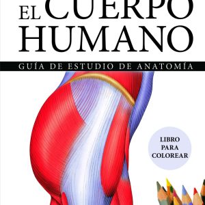 EL CUERPO HUMANO