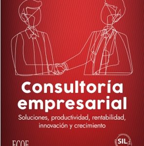 CONSULTORÍA EMPRESARIAL: SOLUCIONES, PRODUCTIVIDAD, RENTABILIDAD, INNOVACIÓN Y C