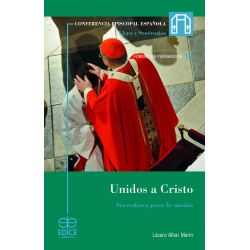 UNIDOS A CRISTO SACERDOTES PARA LA MISION